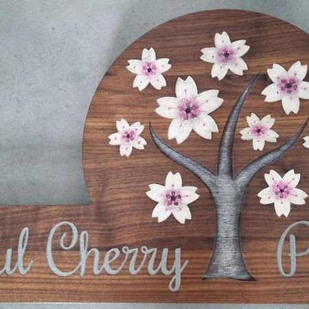 Peaceful Cherry Place ปอร์โตรอซ ภายนอก รูปภาพ